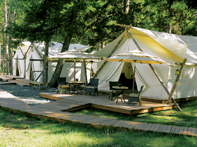 Paws Up Montana Travel Specialist